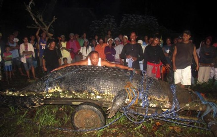 Mayor Edwin Cox Elorde of Bunawan township, Agusan del Sur Province, pretends on Sunday to measure a giant crocodile that was captured by residents after a three-week hunt.